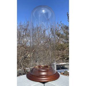 17" Very LARGE Antique - Vintage Glass Cloche Dome Wooden Base Specimen Whimsy